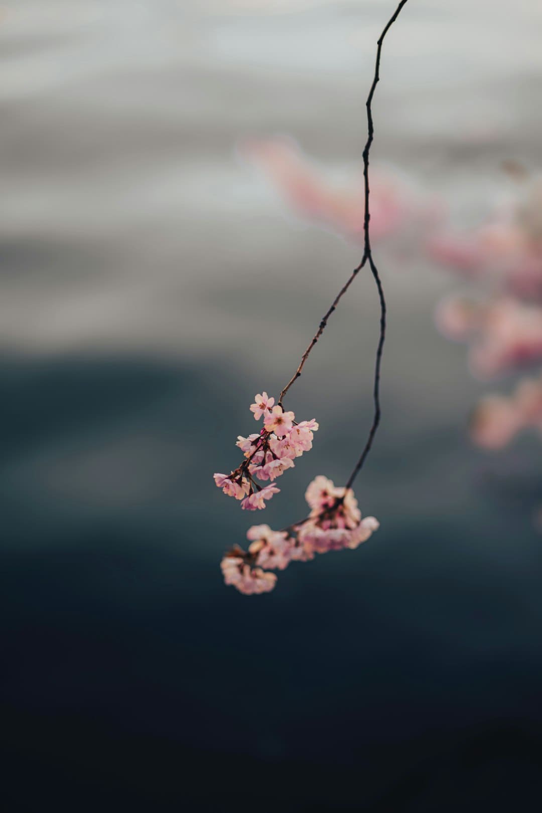 上海眼科专家走进西藏 “造血式赋能”、展开“长效共建”